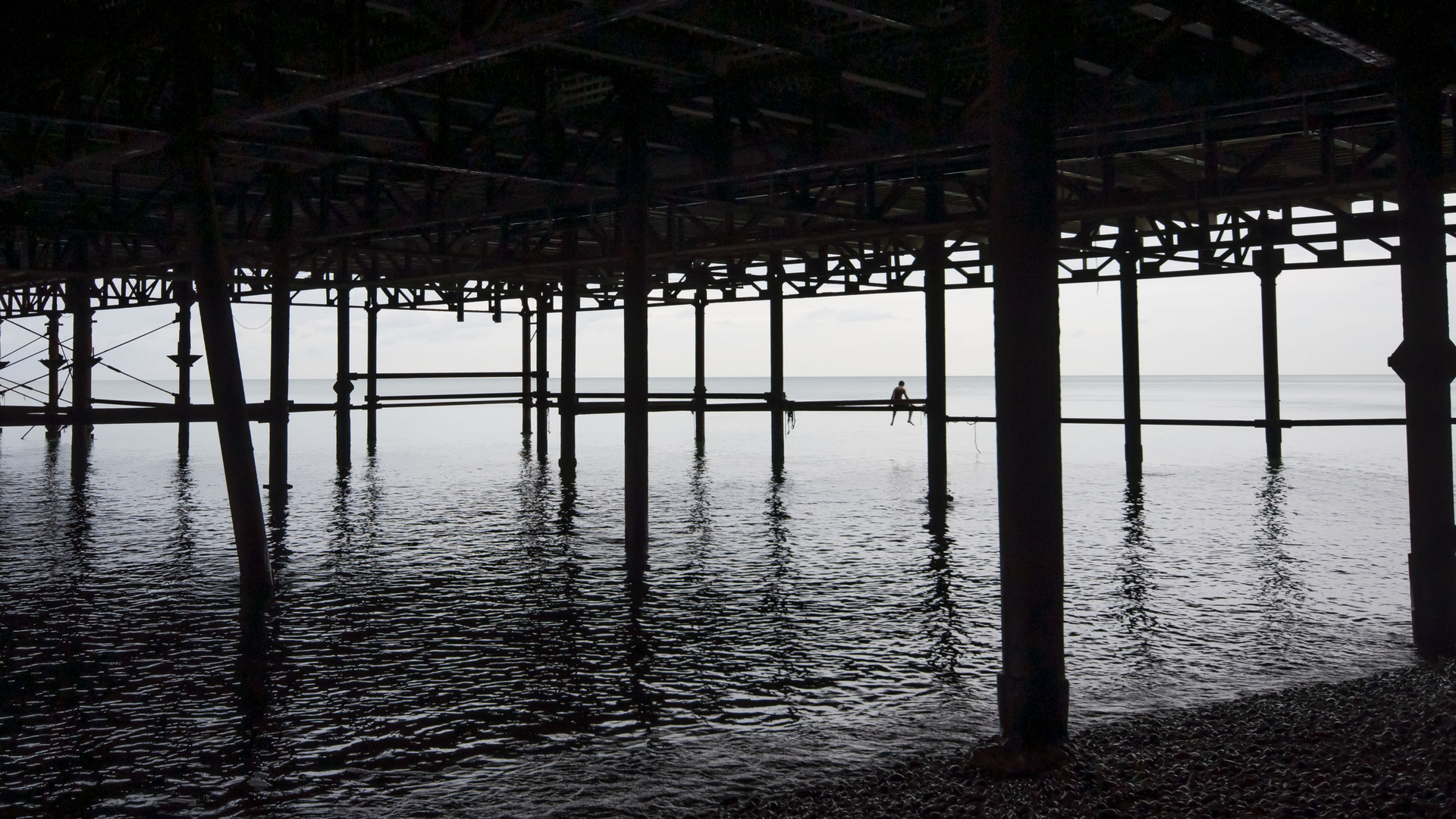 Lone Swimmer