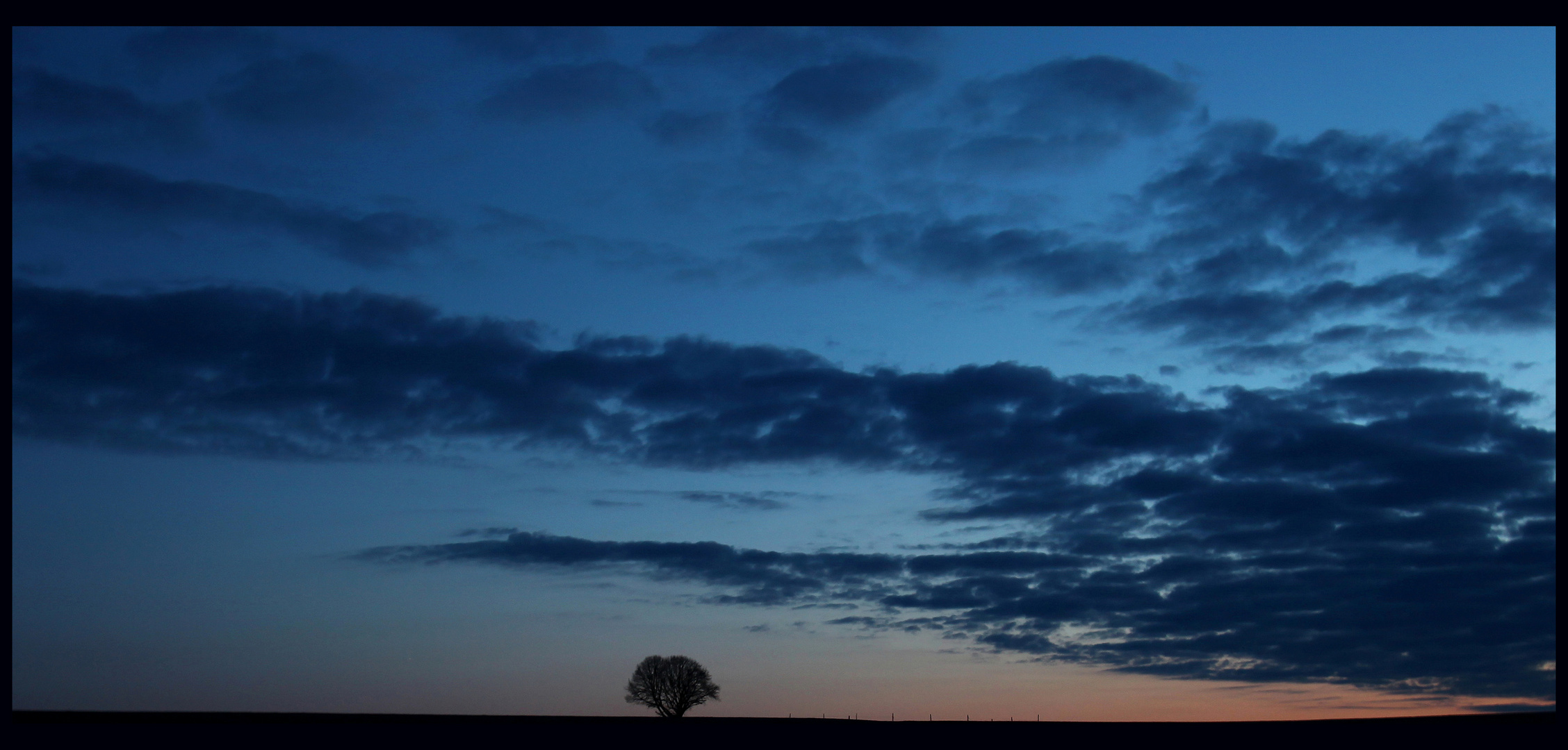 lone tree