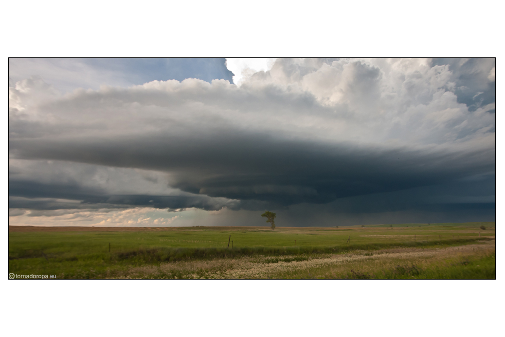 LONE TREE & STORMY SKY