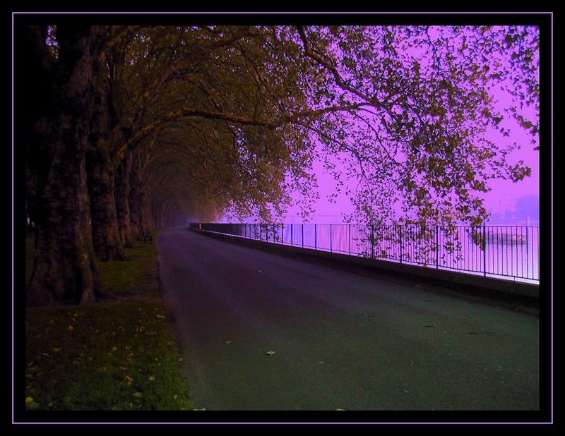 lonelest city's lonely street