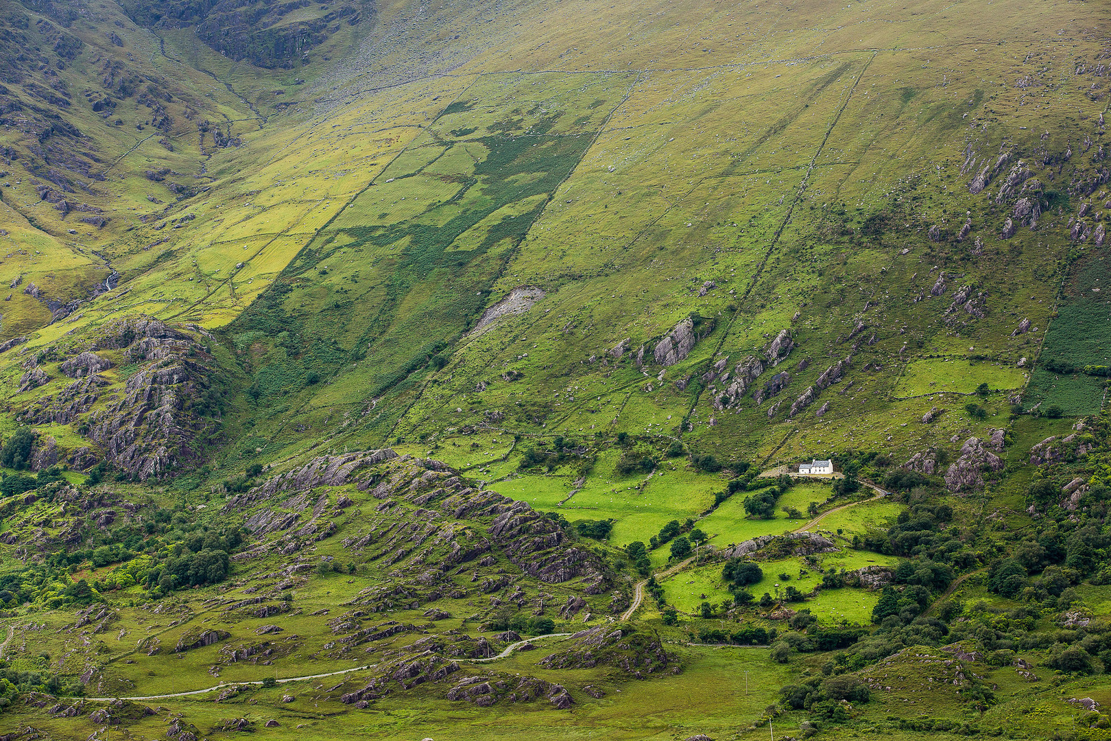 Loneley house in the green