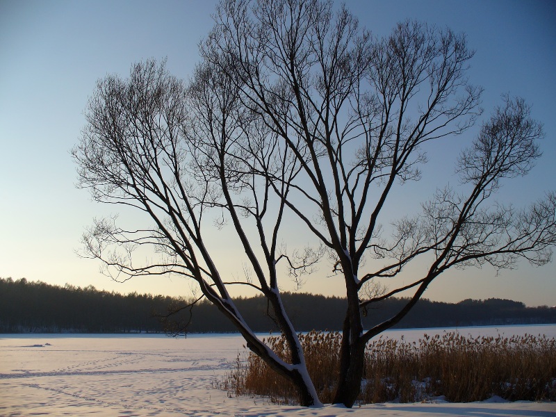 loneliness