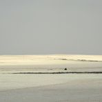 Loneliness