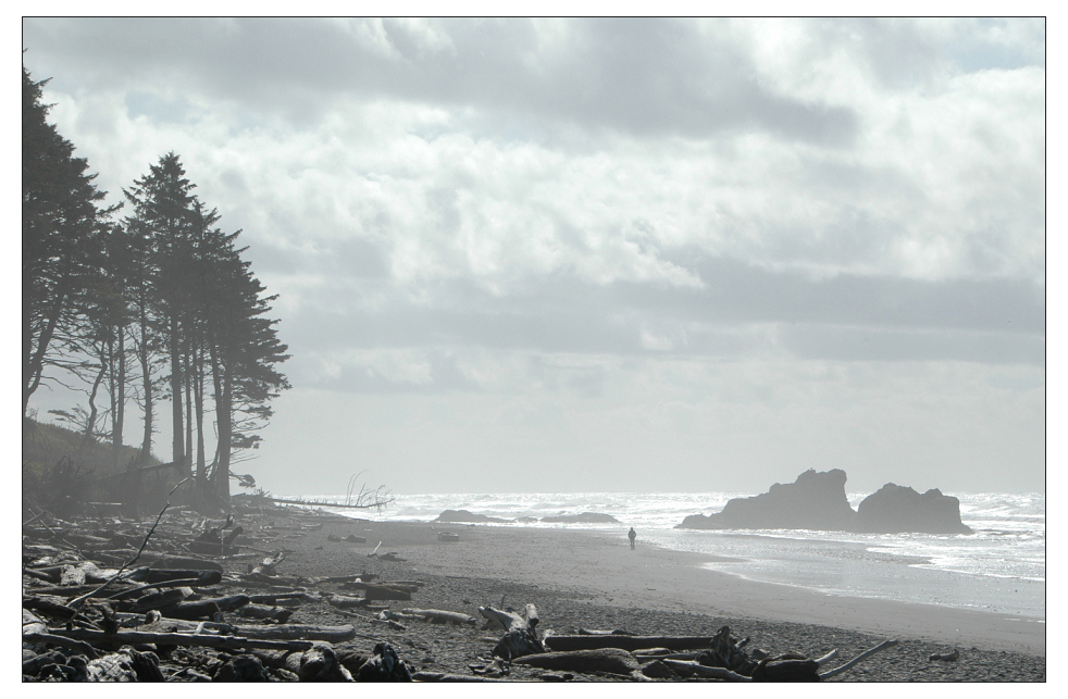 Loneliness of the Beach Runner