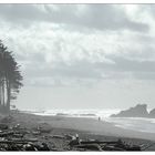 Loneliness of the Beach Runner