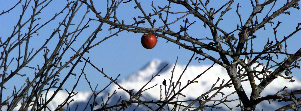 Lonely von Gerald Entremont