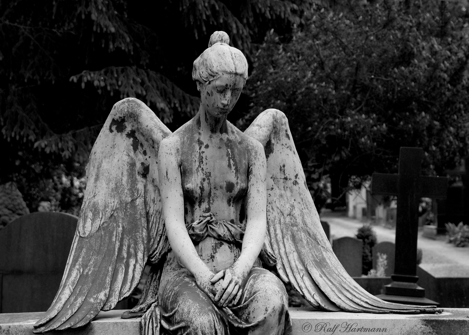 Lonely Angel II