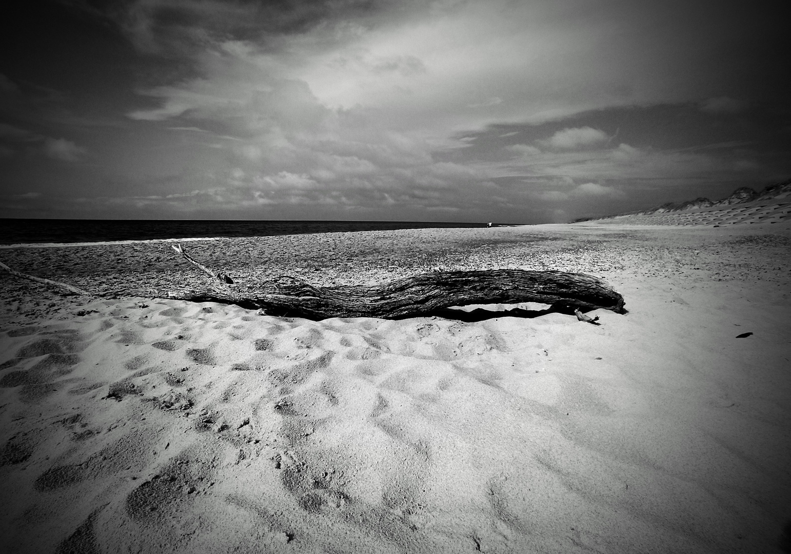 Lonely Beach