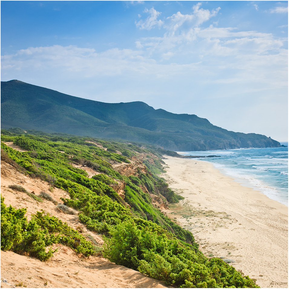 Lonely Beach