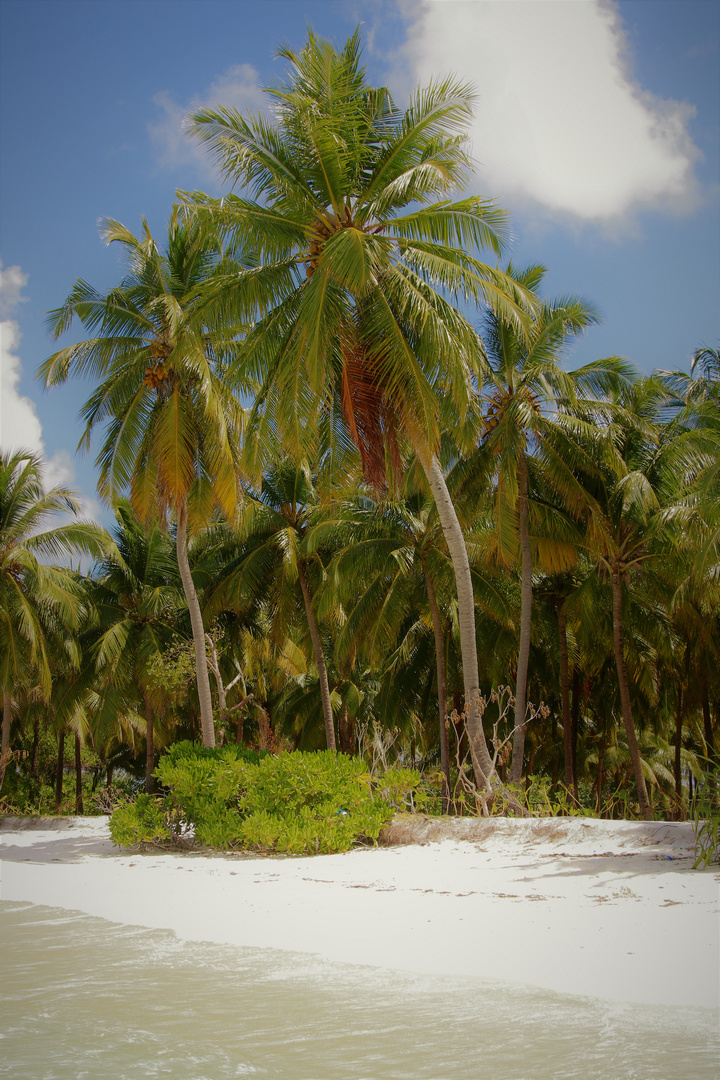 LONELY BEACH