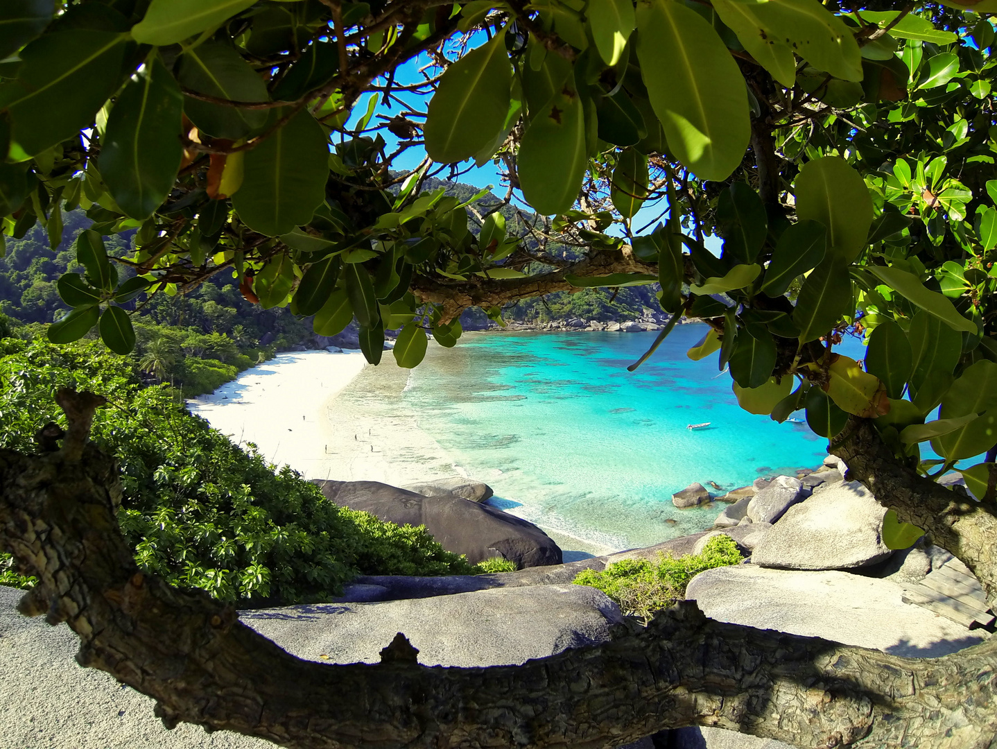 lonely beach