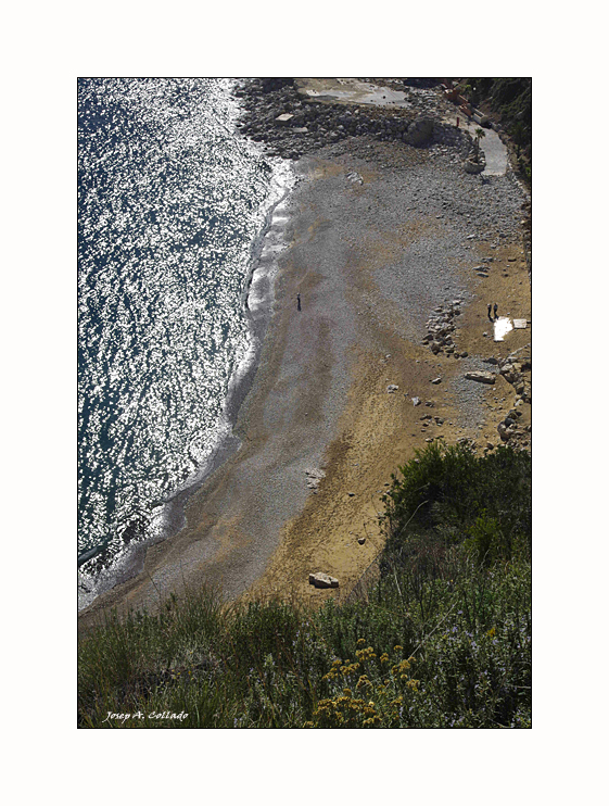 Lonely Beach