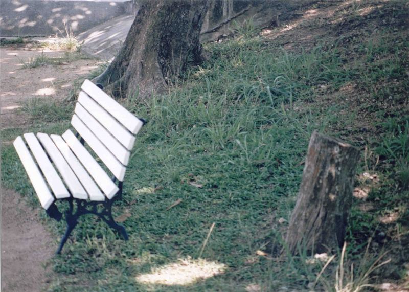 Lonely Bench