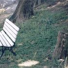 Lonely Bench