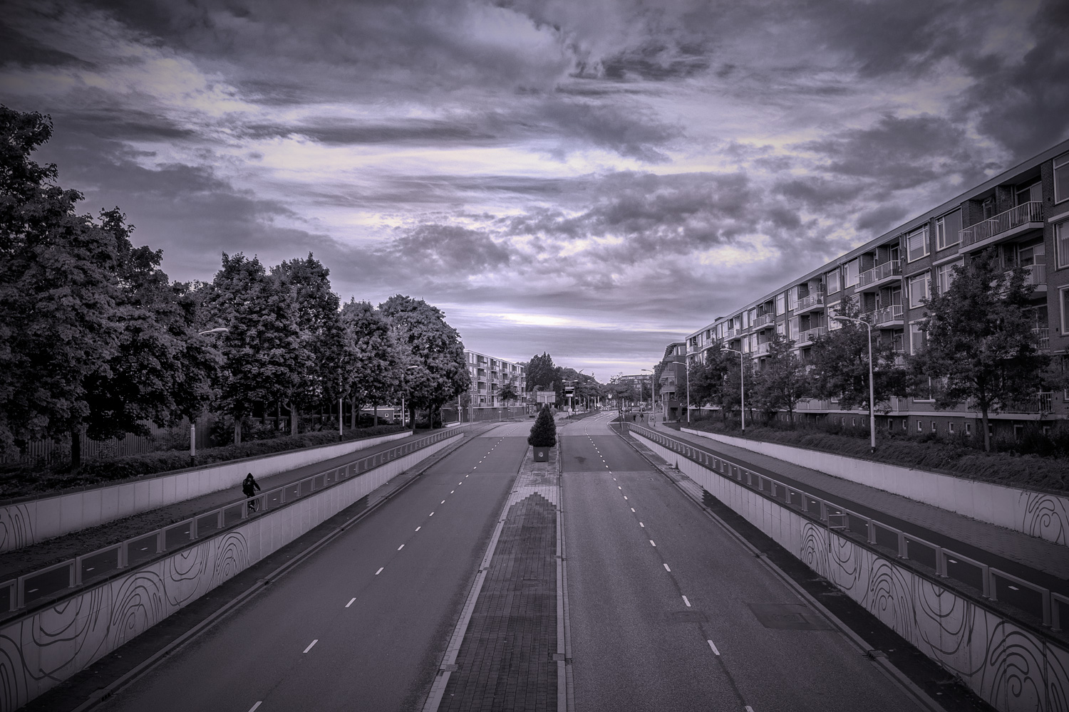 Lonely biker