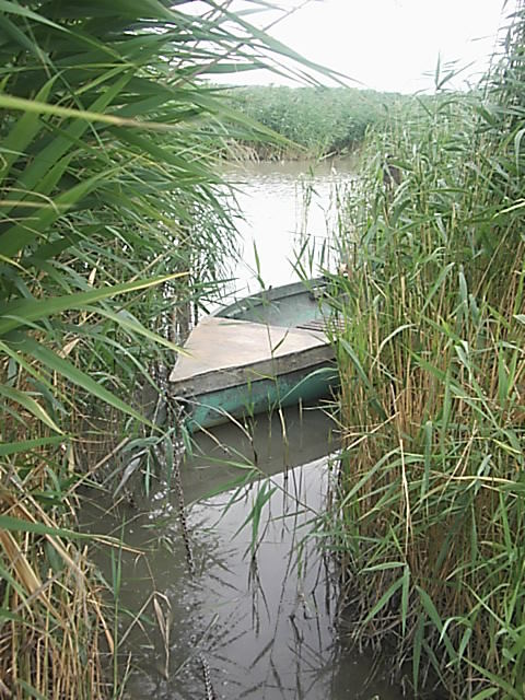 lonely boat