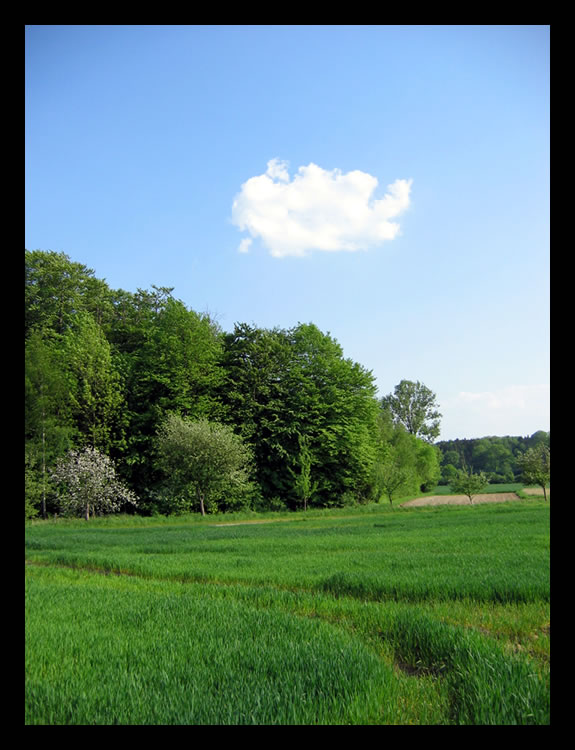 Lonely cloud ...