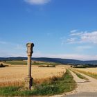 Lonely Column