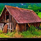 Lonely Cottage