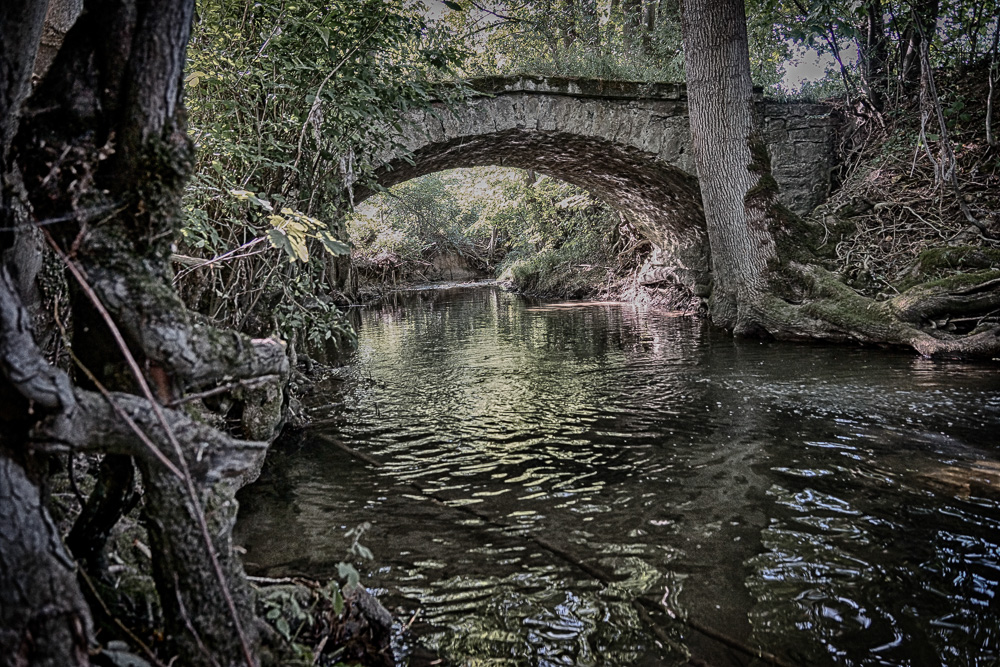 Lonely creek