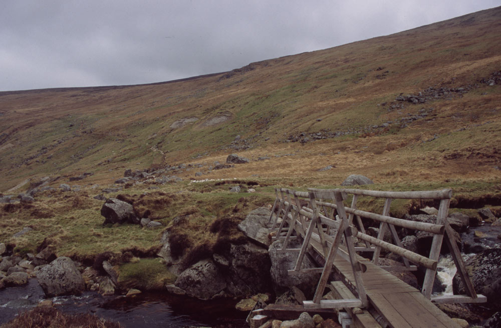 Lonely Crossing