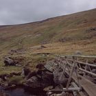 Lonely Crossing