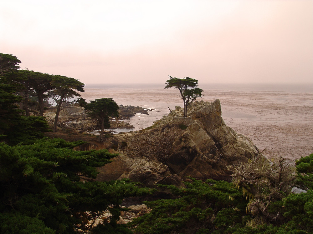 Lonely Cypress - 17 Mile Drive