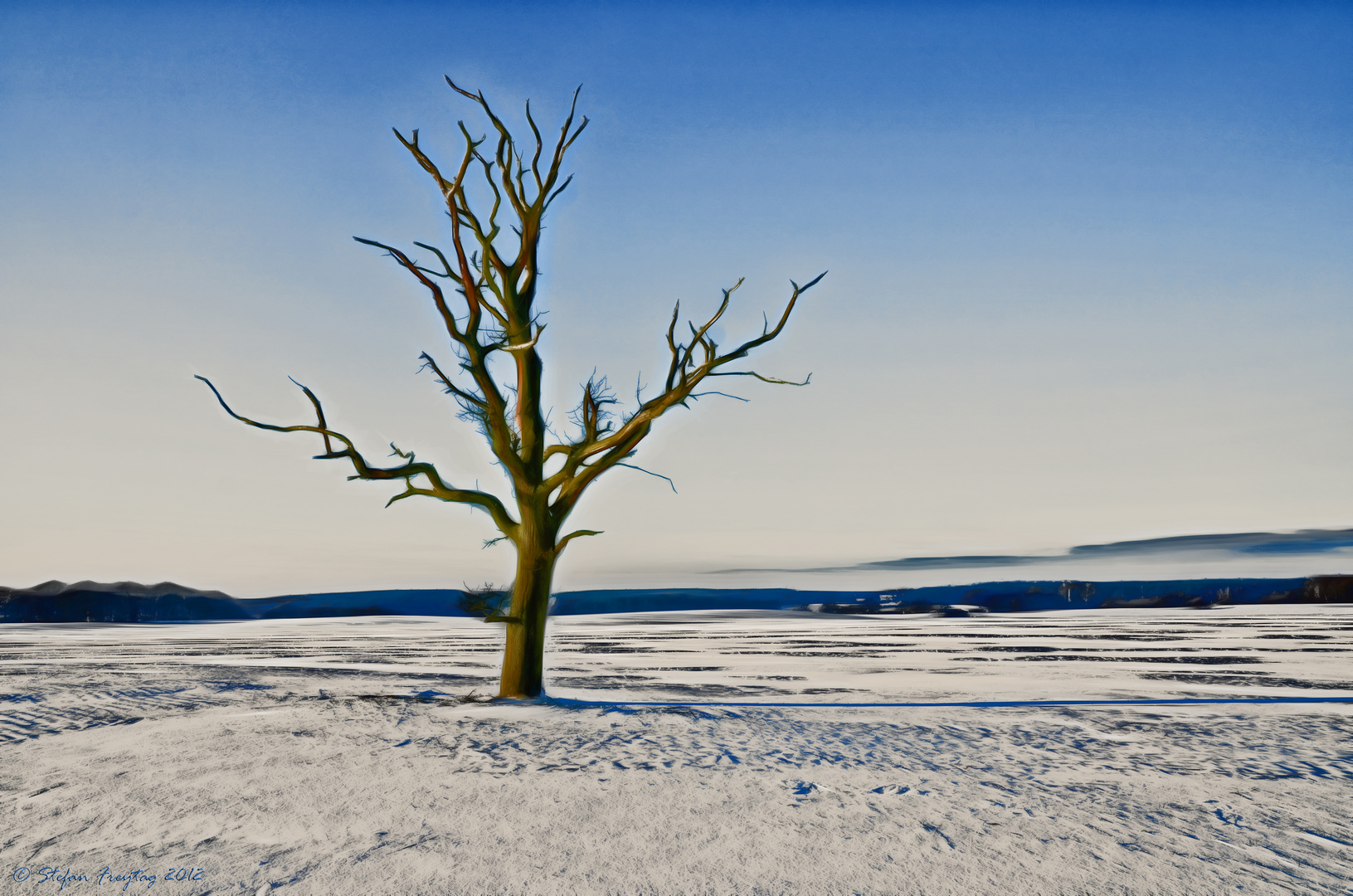 Lonely Dead Tree VI