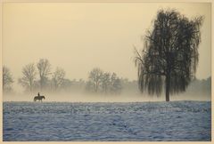 "lonely dusk .."