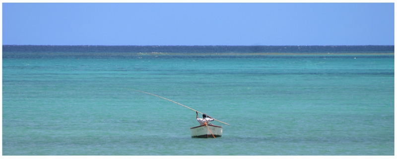 Lonely Fisher