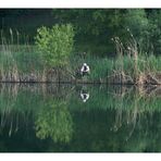 lonely fisherman