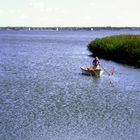 ...lonely fisherman...