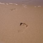 Lonely Footprint