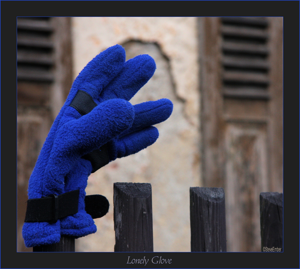 Lonely Glove