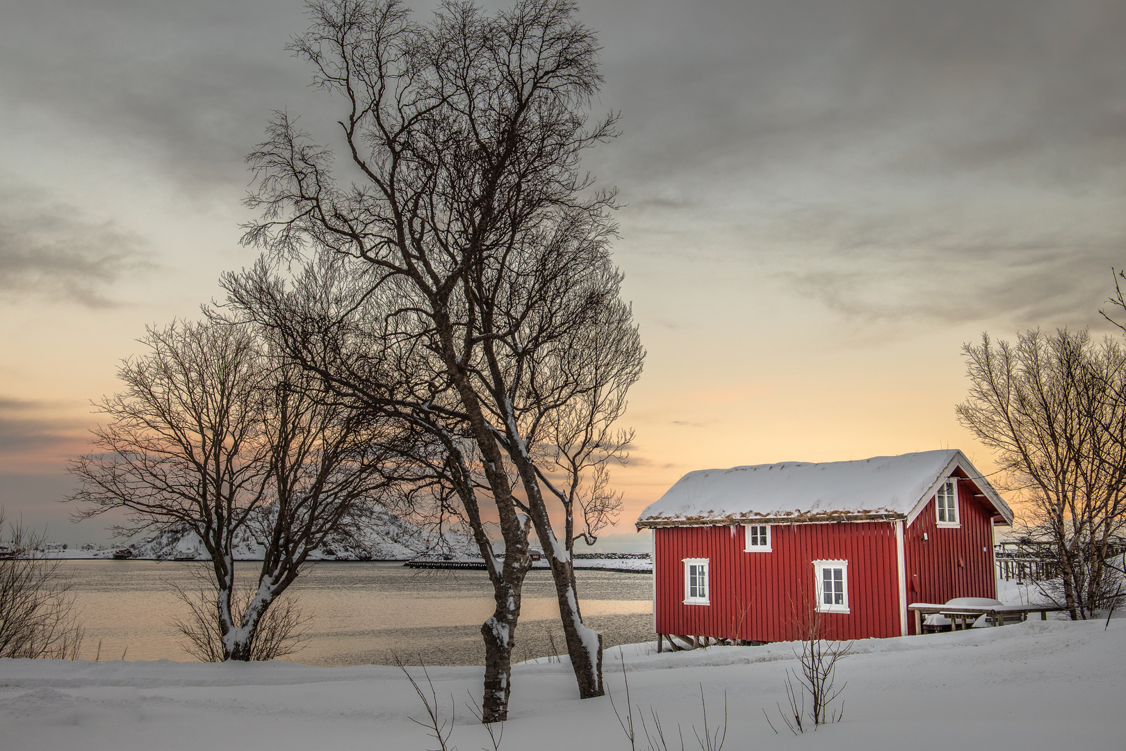 Lonely House