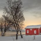 Lonely House