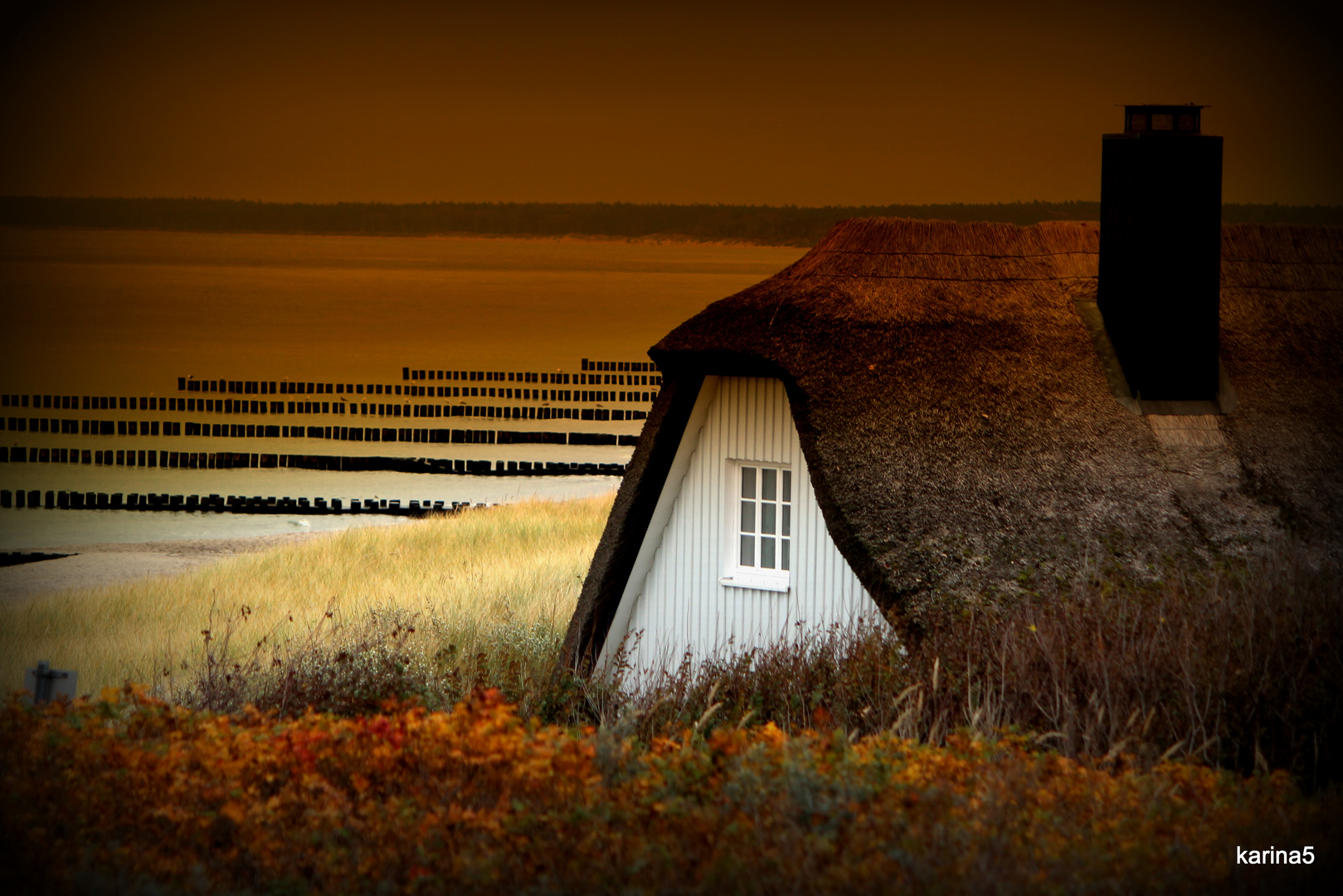 Lonely House by the Sea