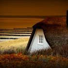 Lonely House by the Sea