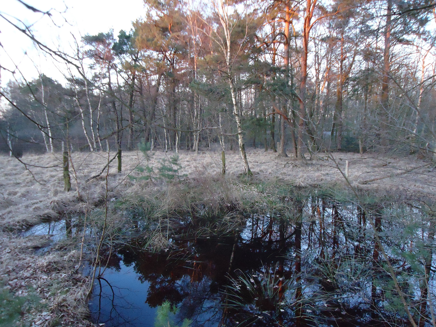 lonely Lake