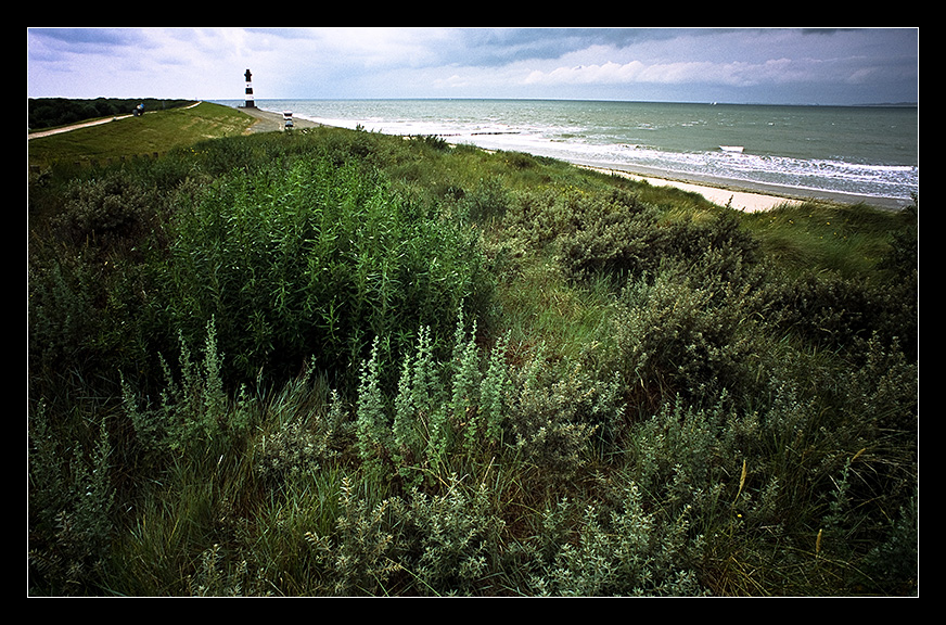 lonely lighthouse