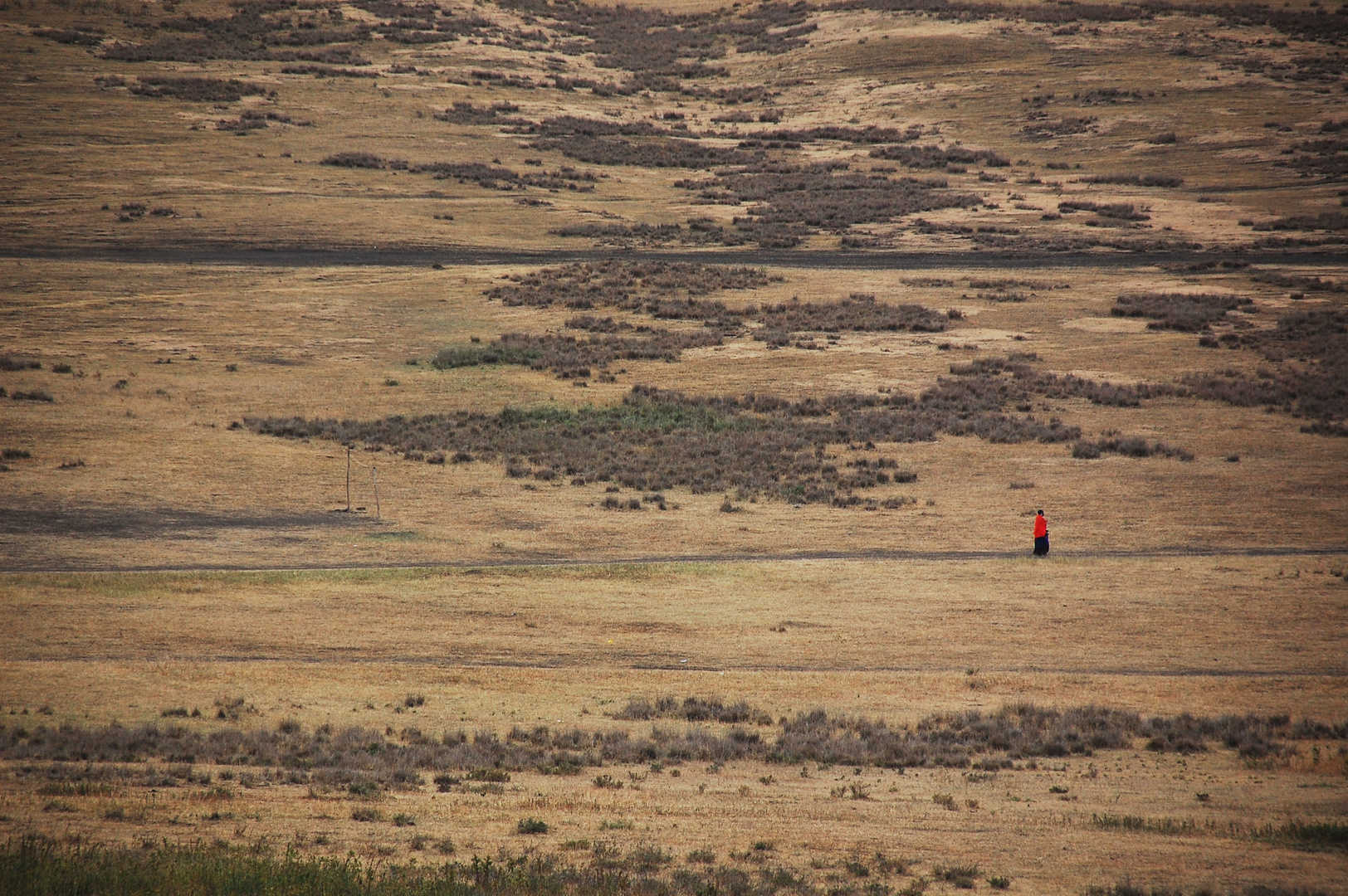 Lonely Massai