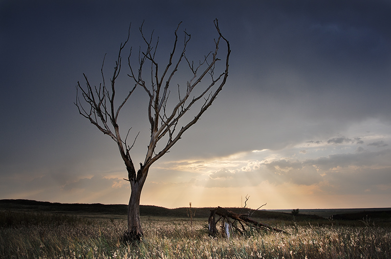 Lonely old age