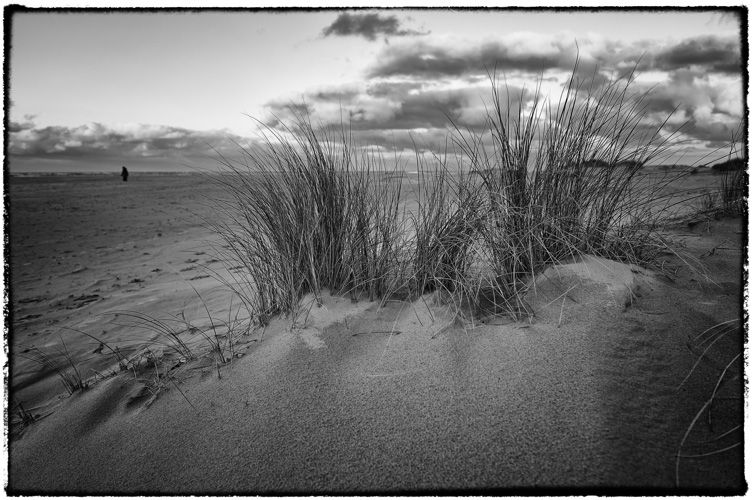 Lonely on the Beach