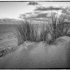 Lonely on the Beach