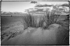 Lonely on the Beach