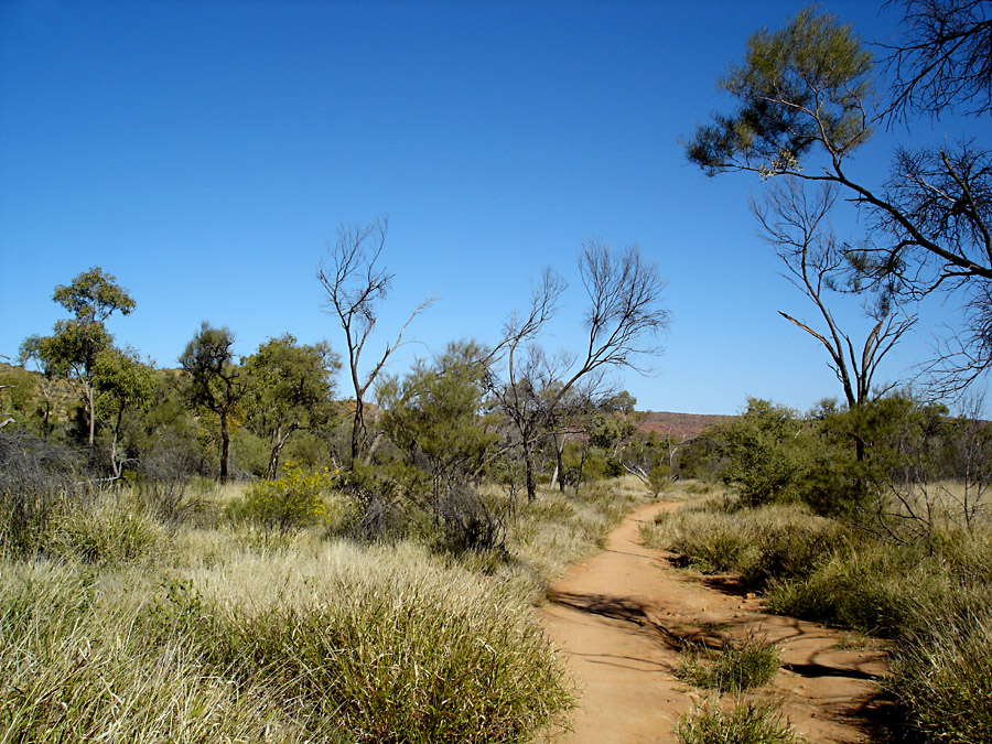 Lonely Path, 2