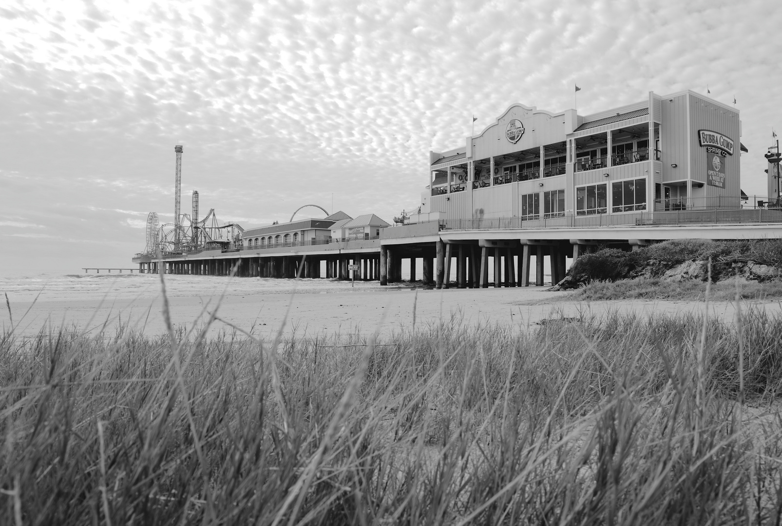 - Lonely Pier -