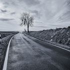 Lonely Road