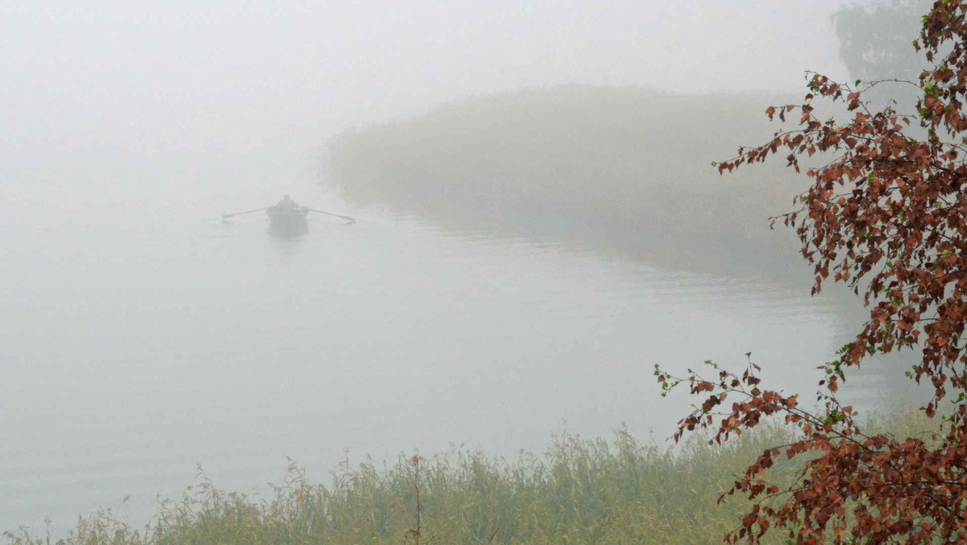 Lonely rower shrouded in fog