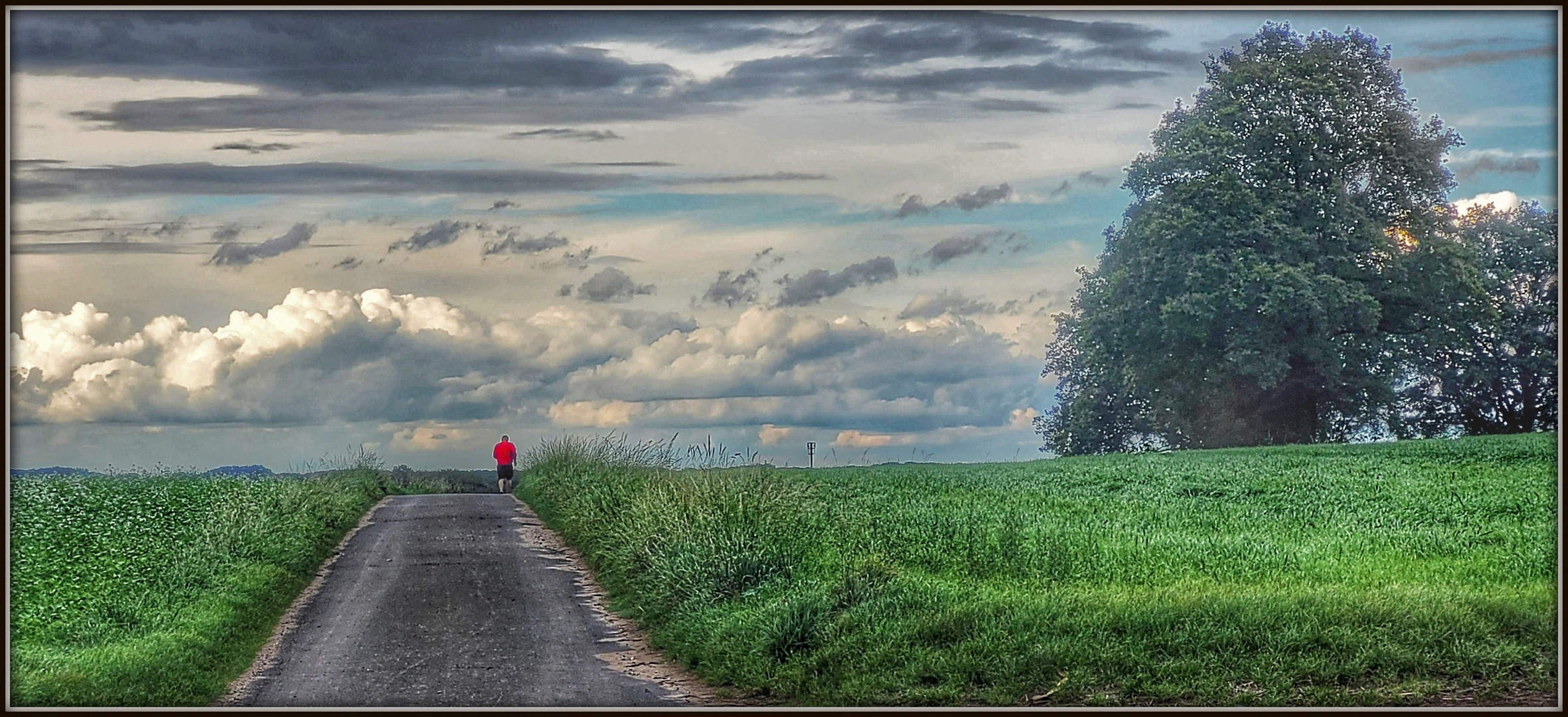 Lonely Runner